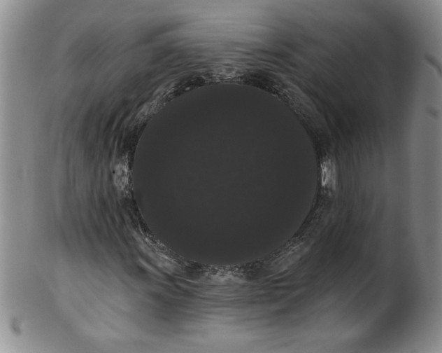 X0000101981011200808081610