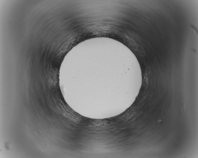 X0000101981012200808081610