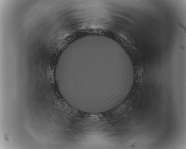 X0000101981013200808081610