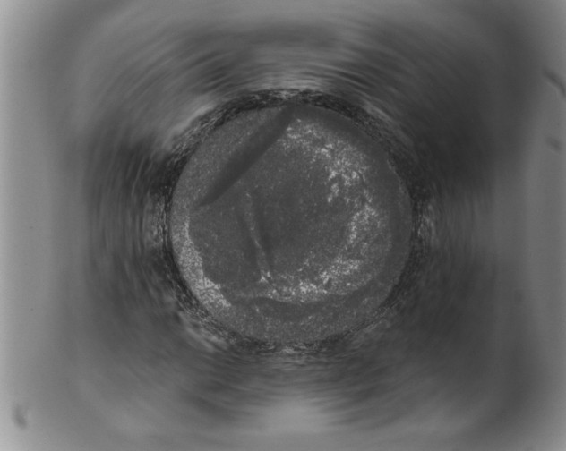 X0000101981014200808081610