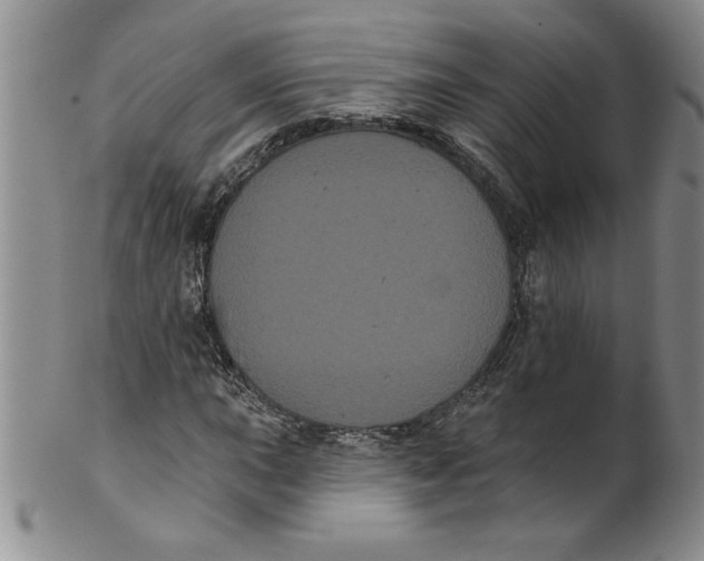 X0000101981015200808081610