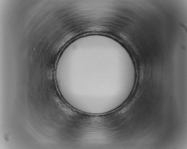 X0000101981017200808081610