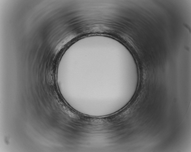 X0000101981018200808081610