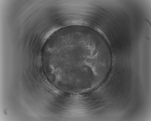 X0000101981019200808081610