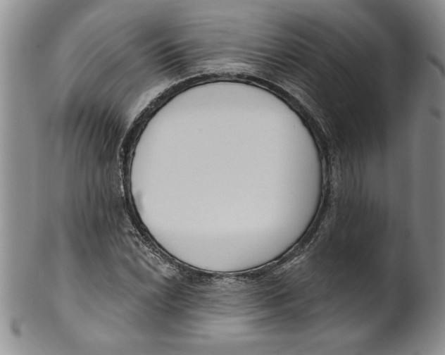 X0000101981022200808081610