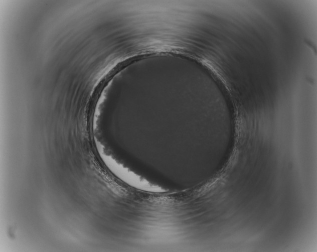 X0000101981023200808081610