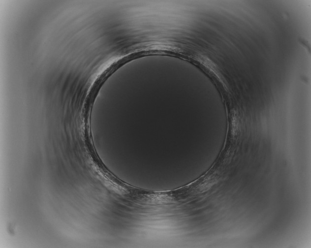 X0000101981024200808081610