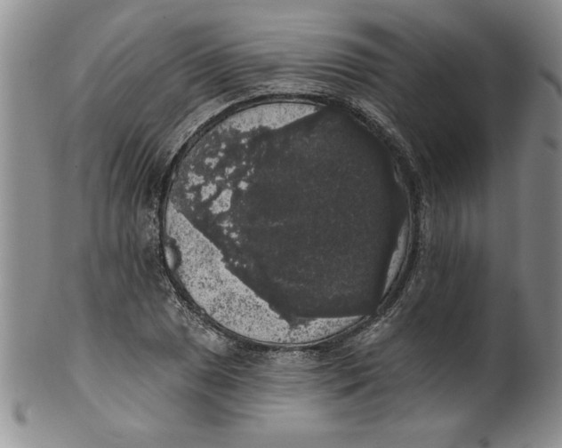 X0000101981025200808081610