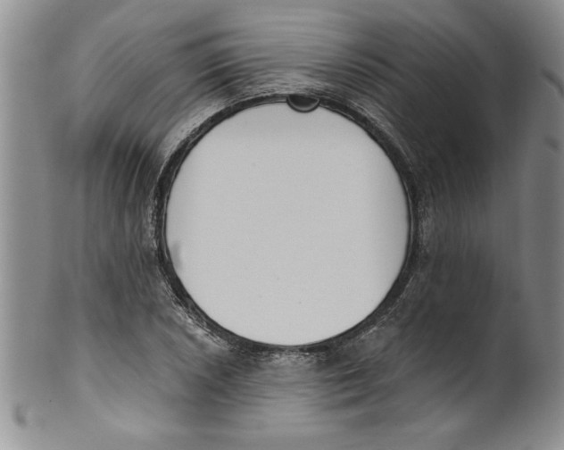 X0000101981026200808081610