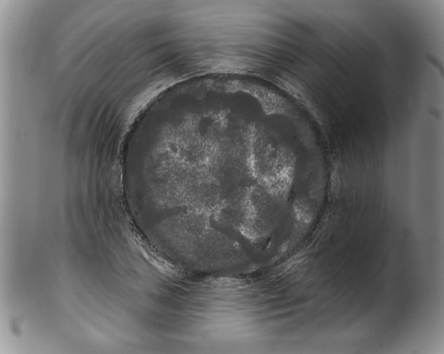 X0000101981027200808081610