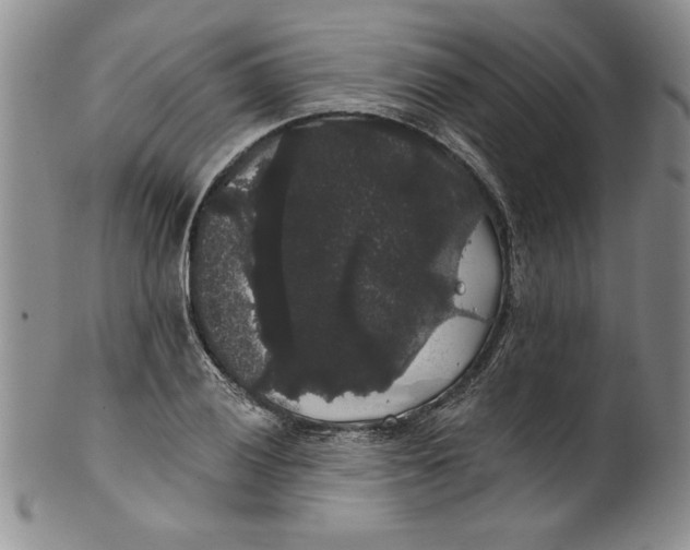 X0000101981028200808081610