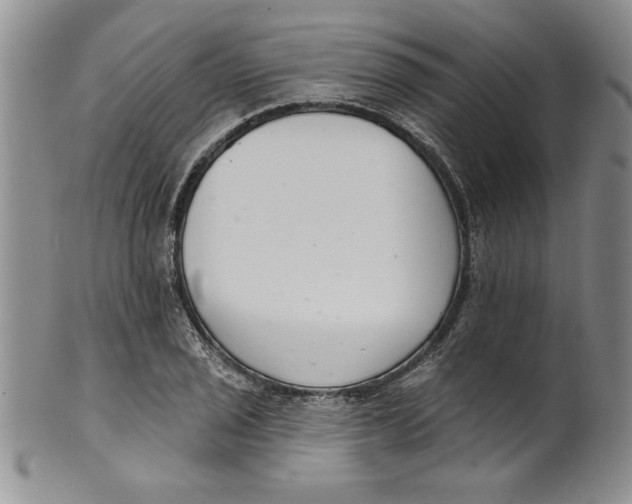 X0000101981029200808081610