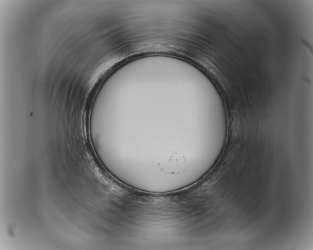 X0000101981030200808081610