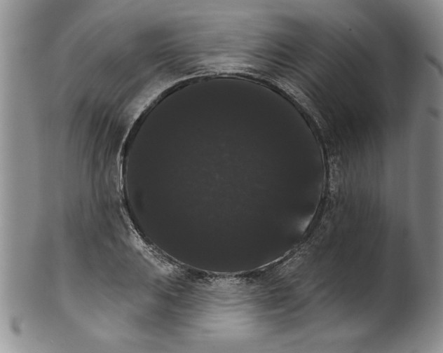 X0000101981031200808081610