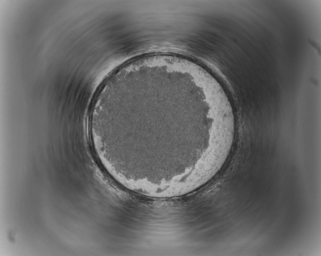 X0000101981032200808081610