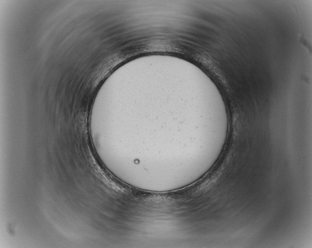 X0000101981033200808081610