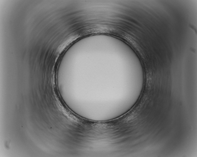 X0000101981034200808081610