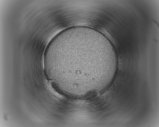 X0000101981036200808081610