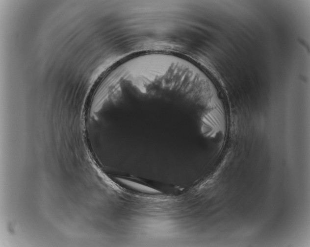 X0000101981037200808081610