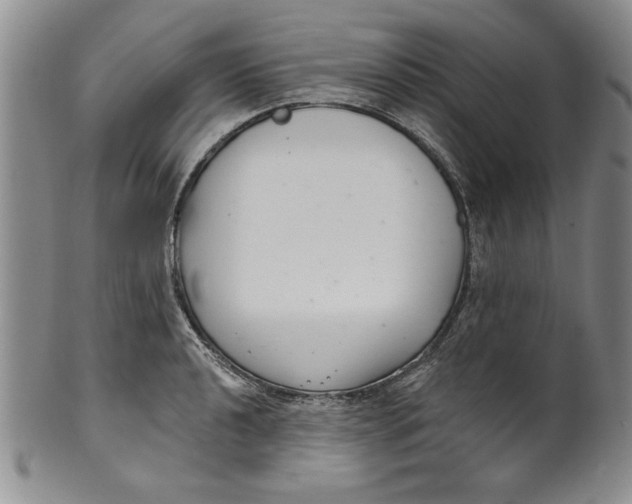 X0000101981040200808081610