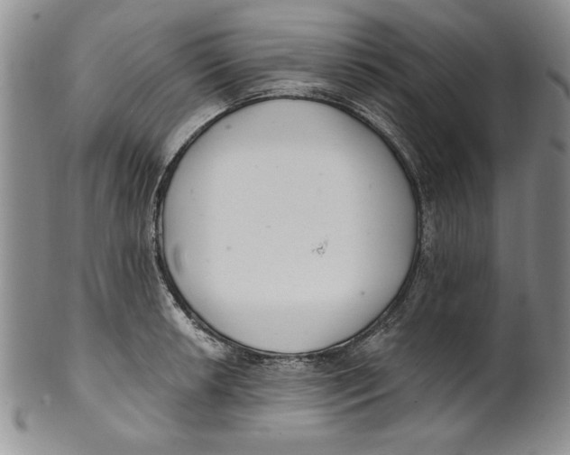 X0000101981042200808081610