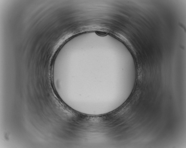 X0000101981043200808081611