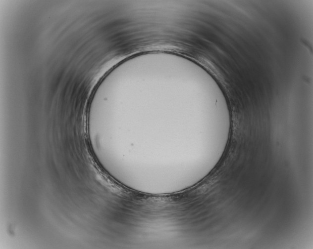 X0000101981044200808081611