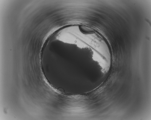 X0000101981045200808081611