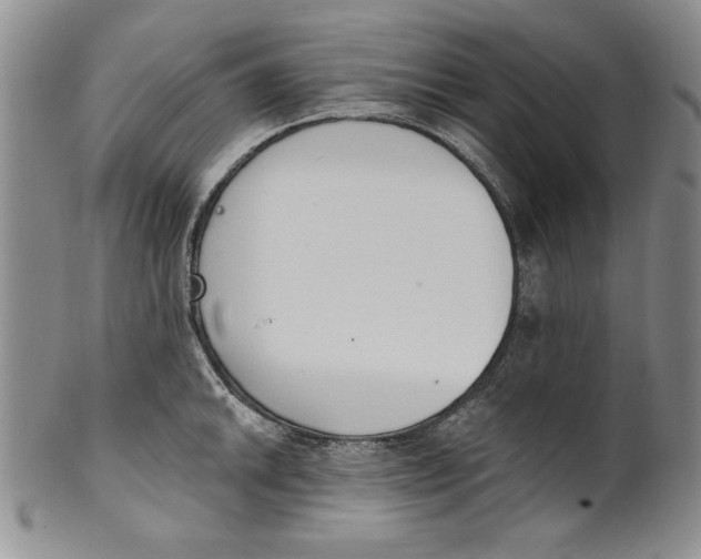 X0000101981046200808081611