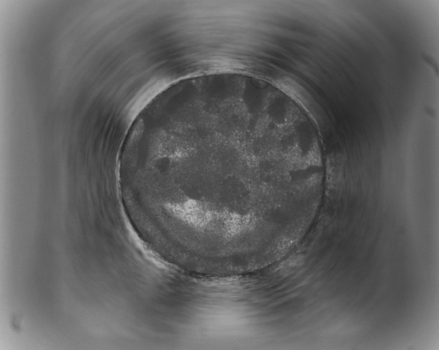 X0000101981047200808081611