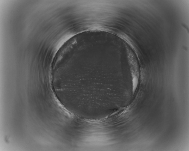 X0000101981048200808081611