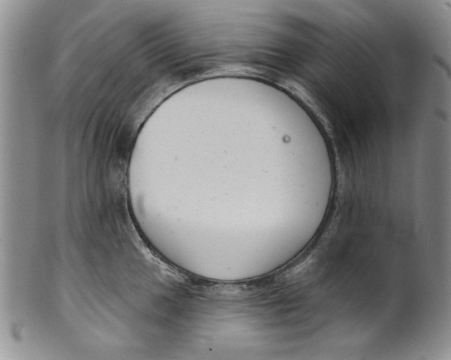 X0000101981049200808081611