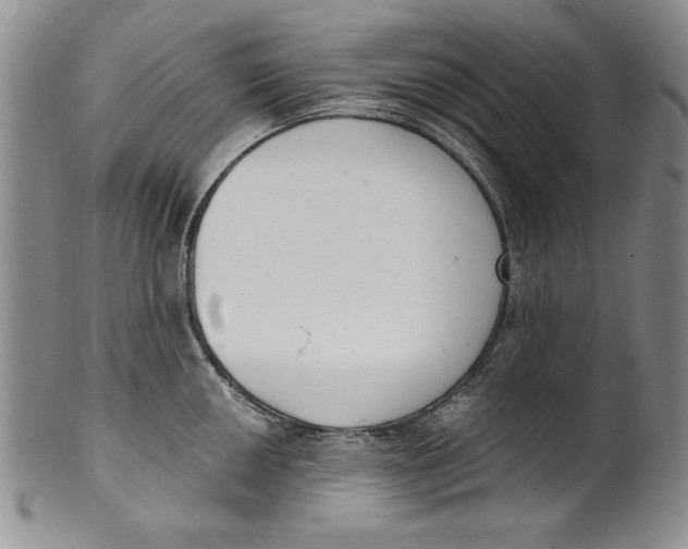 X0000101981050200808081611