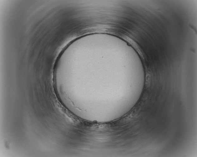 X0000101981051200808081611