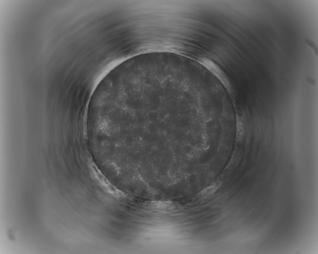 X0000101981052200808081611