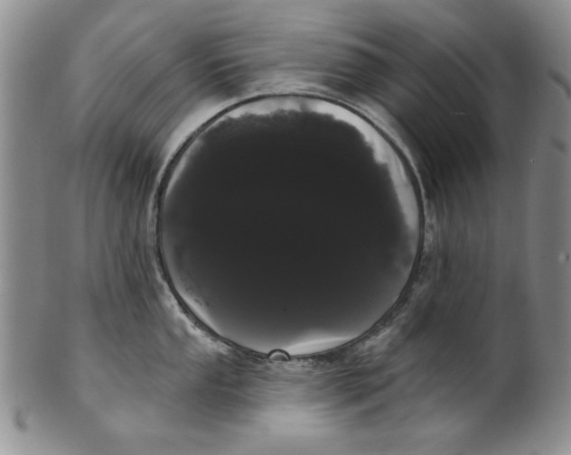 X0000101981053200808081611