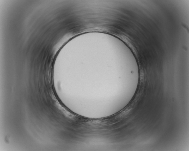 X0000101981054200808081611