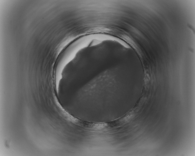 X0000101981055200808081611