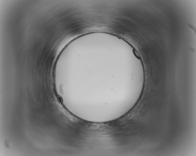 X0000101981056200808081611