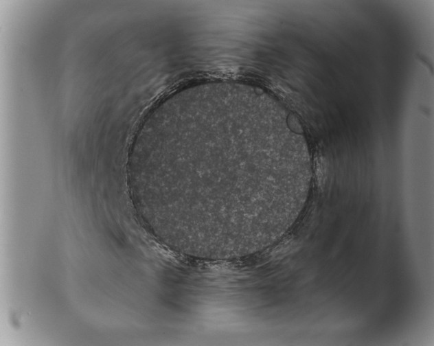 X0000101981057200808081610