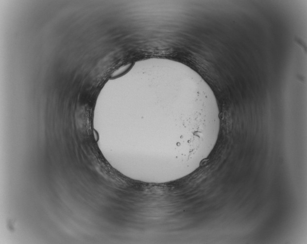 X0000101981058200808081610