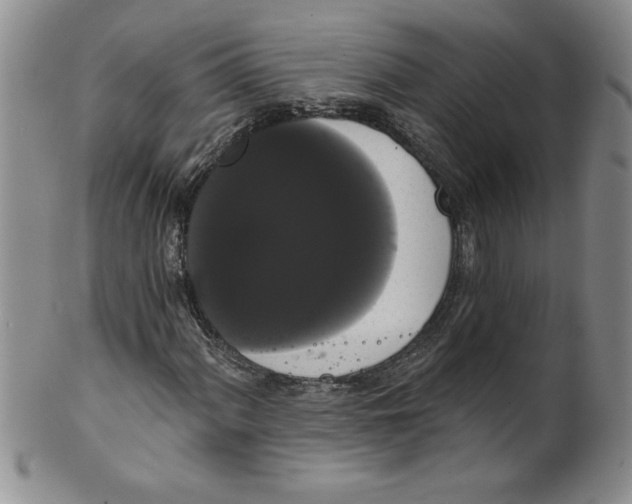 X0000101981060200808081610