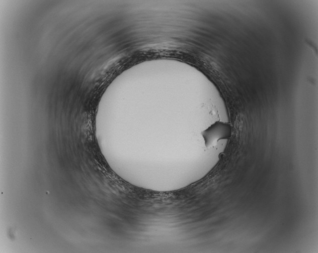 X0000101981062200808081610