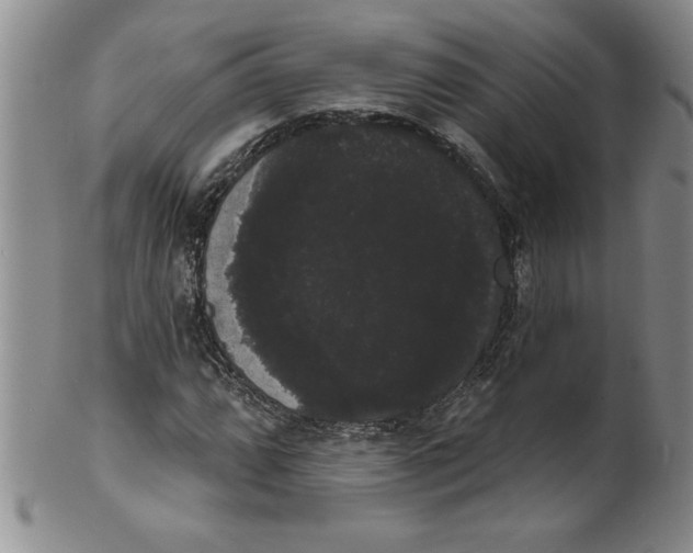 X0000101981064200808081610