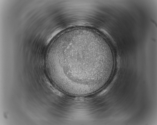 X0000101981065200808081610