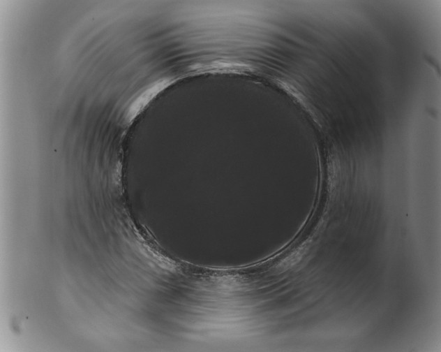 X0000101981066200808081610