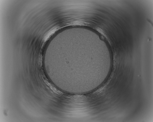 X0000101981067200808081610