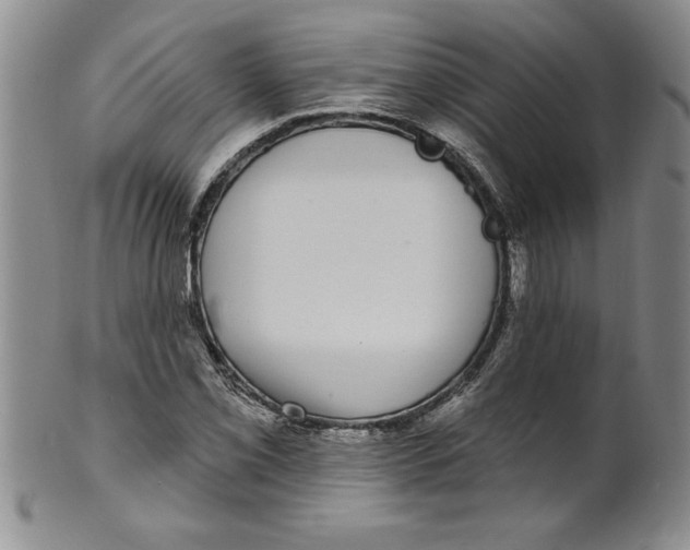 X0000101981069200808081610