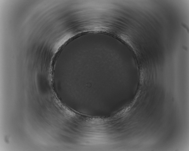 X0000101981071200808081610