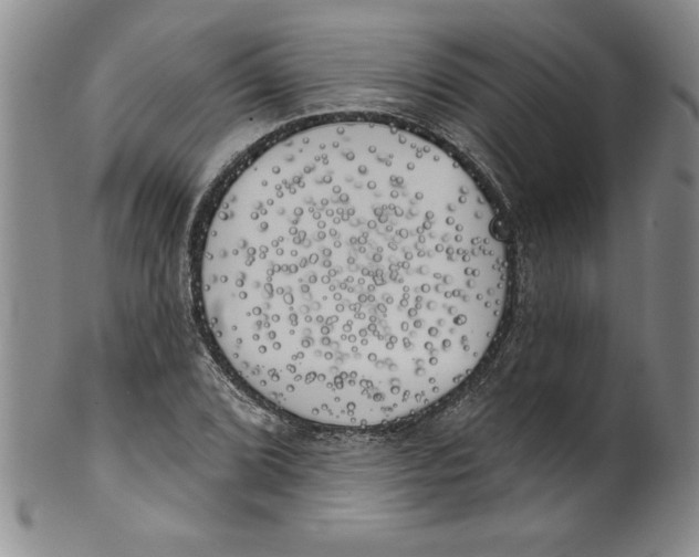 X0000101981072200808081610